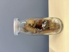 投稿写真 阿蘇の草原 とぶ牛クッキー 仔牛瓶入り