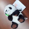 eʐ^Ahx`[[h ou[p_@{[`F[