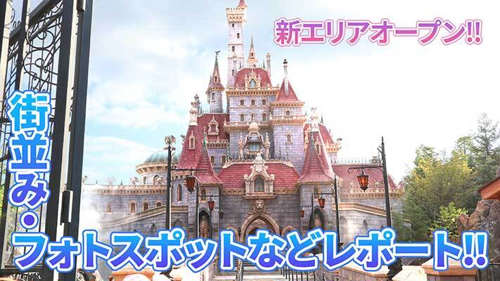 東京ディズニーランド