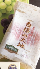 投稿写真 信州芽吹き堂 白樺の大地