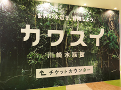 神奈川 カワスイ 川崎水族館