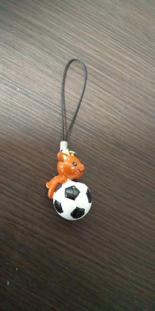 投稿写真 鹿 キーホルダー サッカー