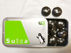 東京のおみやげ プリントチョコレートSuica