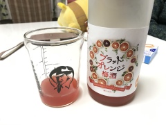 愛媛のおみやげ ブラッドオレンジ梅酒