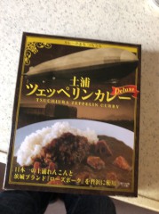 茨城のおみやげ 土浦 ツェッペリンカレー