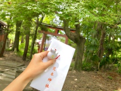 投稿写真 荒木神社 御守り